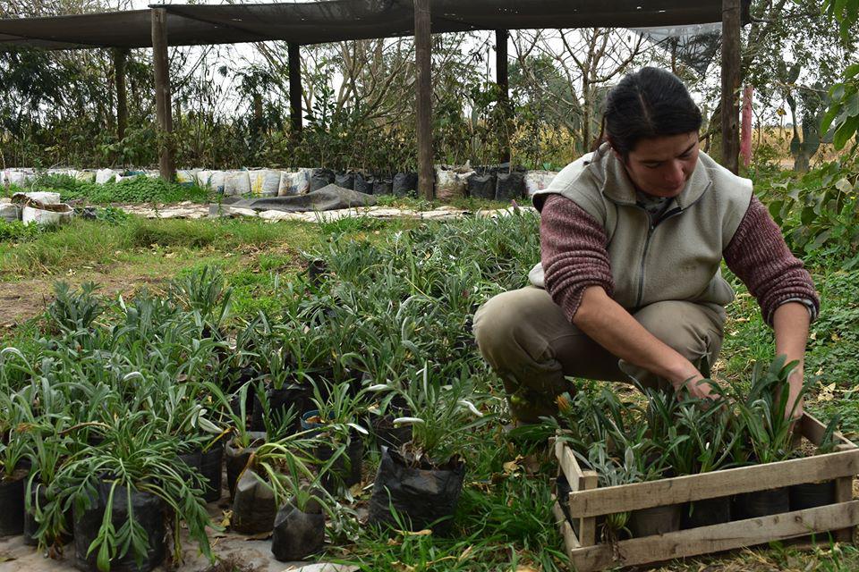 108217370_3174642242602625_8258768892749746863_o