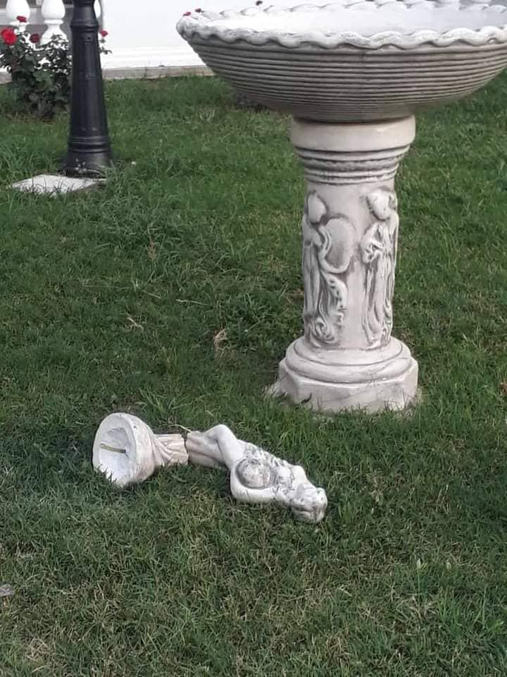 156258713_4333531216663543_8899062252611248063_n