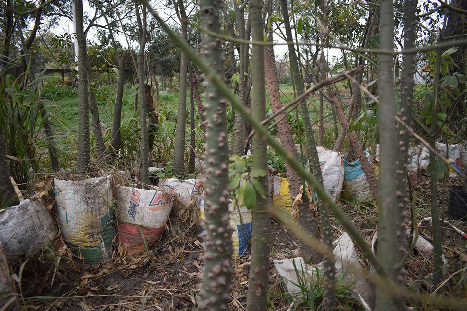 115744909_3174642245935958_6717245618414457478_o