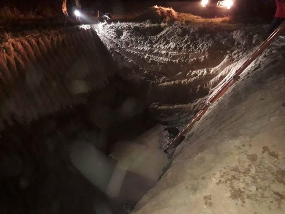 117750247_778234746256396_5931923043793678089_o