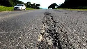 bache ruta
