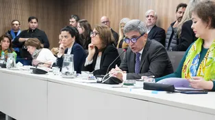 diputados fentanilo