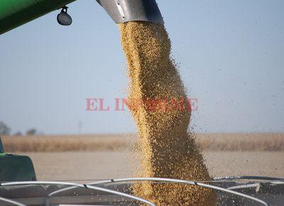 imagenes