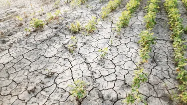 sequia-agrojpg