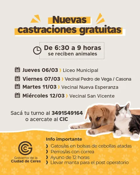 482529983_18445358506079661_3614198351897636703_n