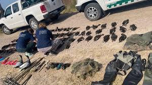 caza ilegal de patos en sf