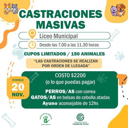 nuevas-castraciones