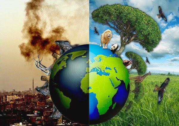 La-sexta-extincion-masiva-del-planeta-a-la-vuelta-de-la-esquina