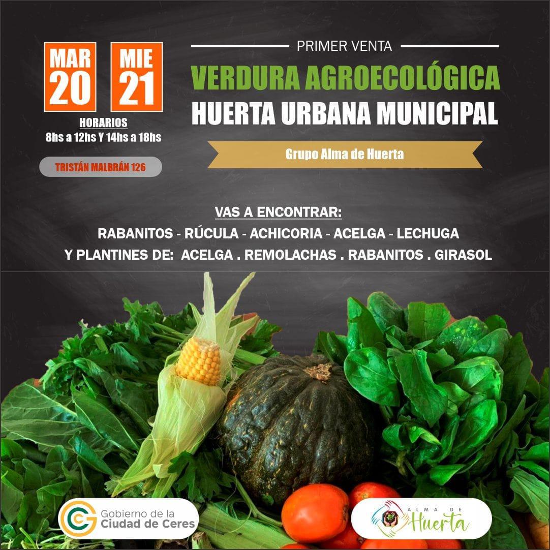 verdura-agroecologica