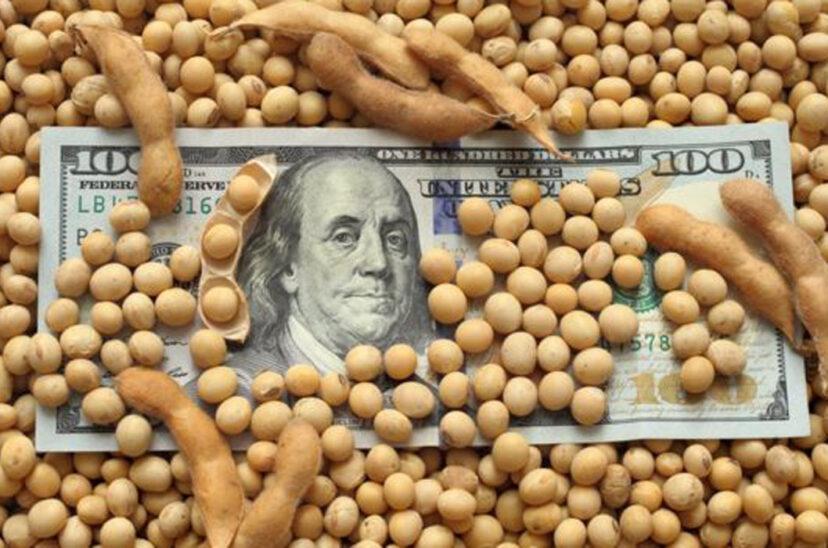 Dolar-Soja-828x548