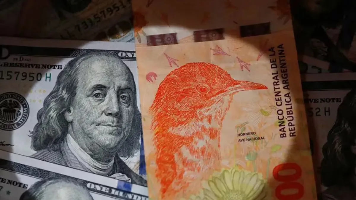 dolar-1000-hornero-pesosjpg