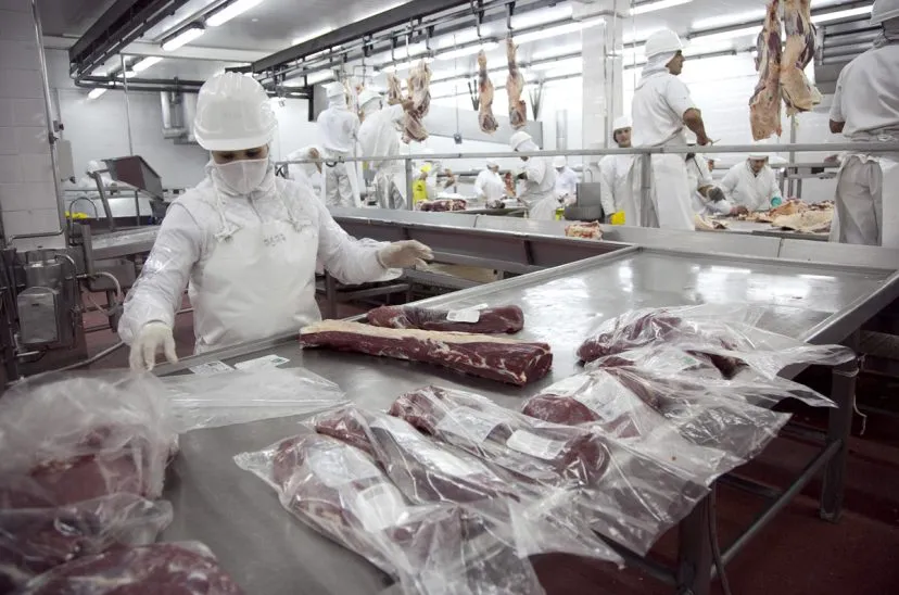 exportaciones-carne-vacuna-828x548