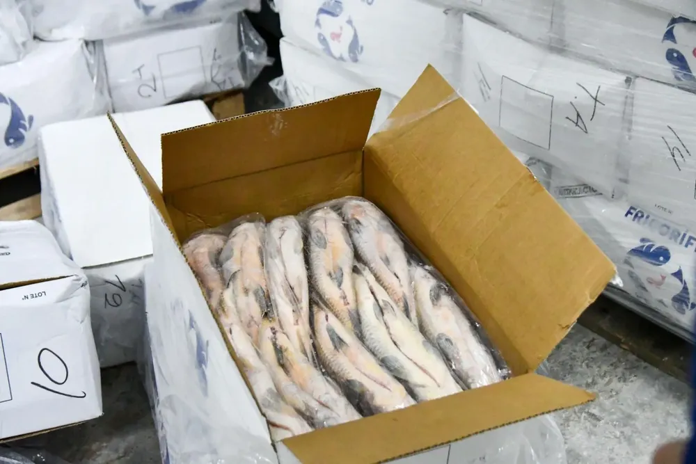 acopio-de-suburi-1568x1046