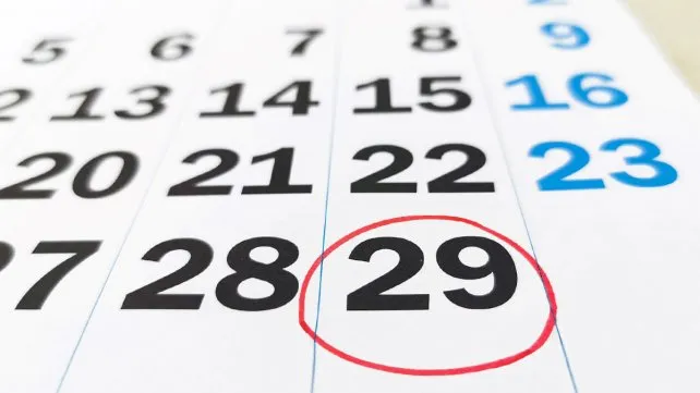 multimedia.normal.8f3ce32cfb8e6fa8.YW5vLWJpc2llc3RvanBnX25vcm1hbC53ZWJw