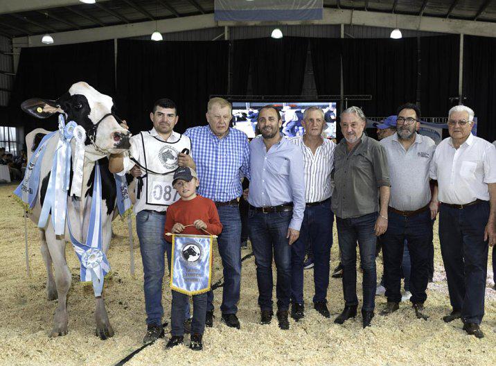22274-vaca-campeona