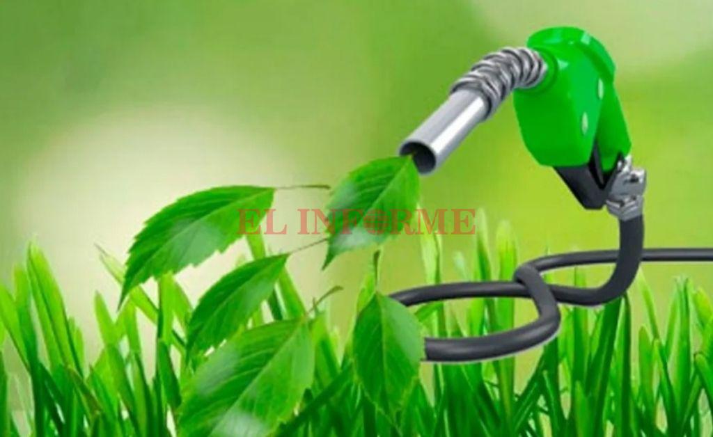 Biodiesel
