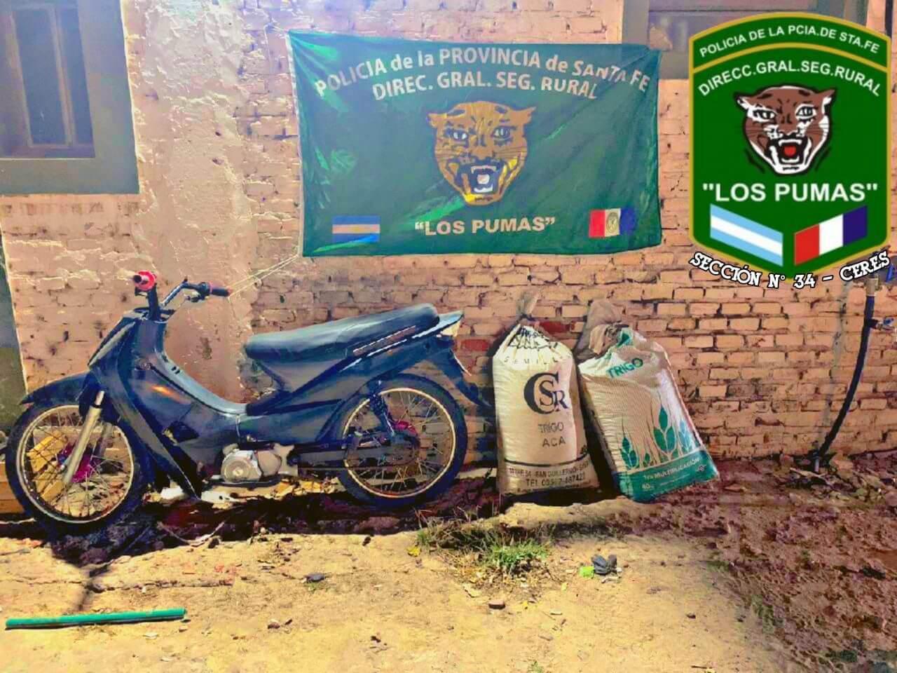 multimedia.normal.94f4233f93295636.cHVtYXMtc2VjdWVzdHJvX25vcm1hbC5qcGVn