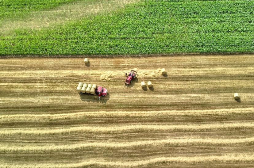 imagen-NASA-cultivos-828x548