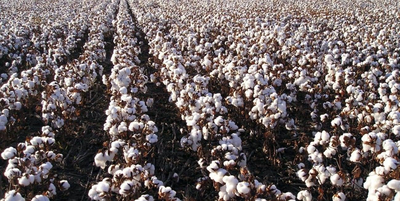 wEOaKiQLV_1300x655__1