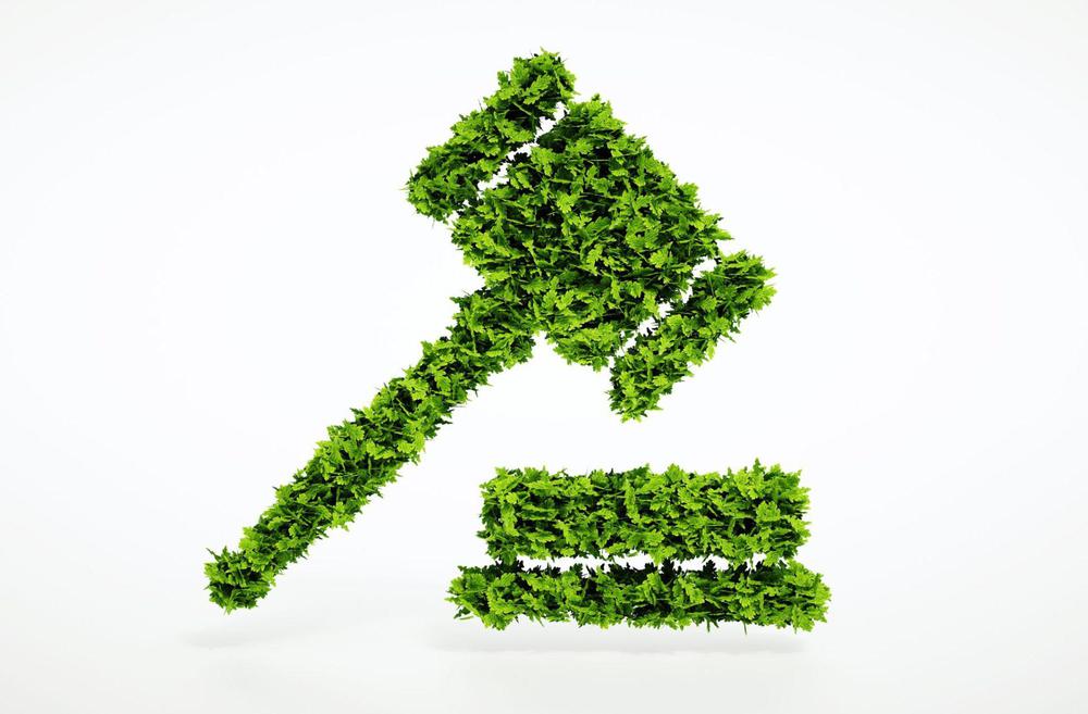 mazo-verde-bbva-recurso-1920x1263