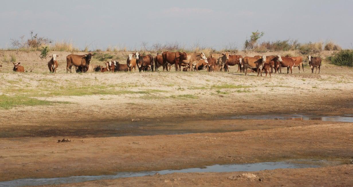 BkjrEzYwU_1300x655__2