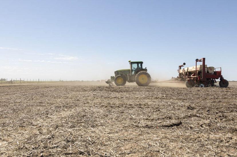 siembra-fertilizantes-828x548