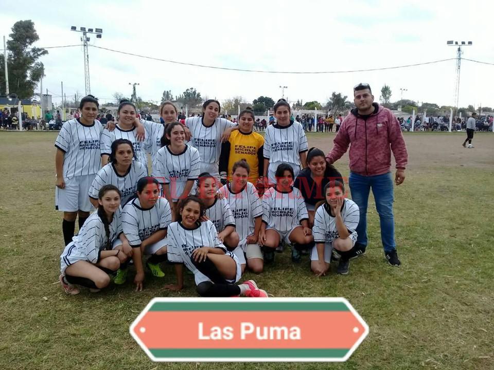 64232482_596130370907957_5659684615909015552_n