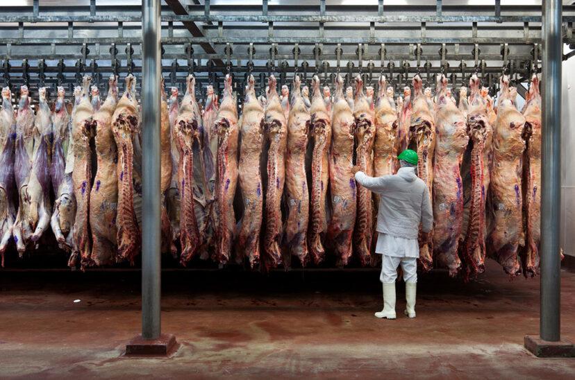 frigorifico-carne-vacuna-res--828x548