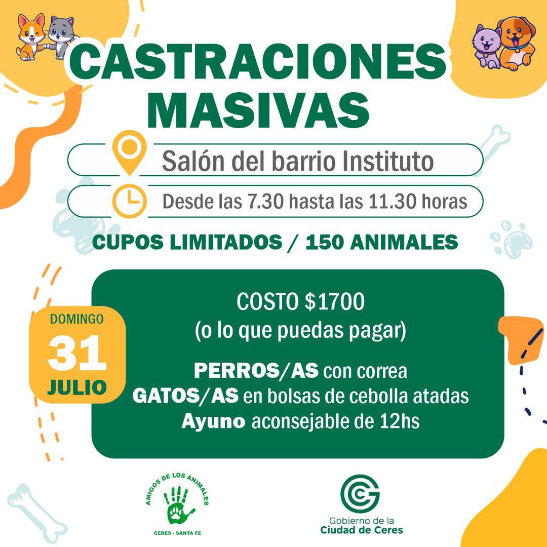 castraciones cere