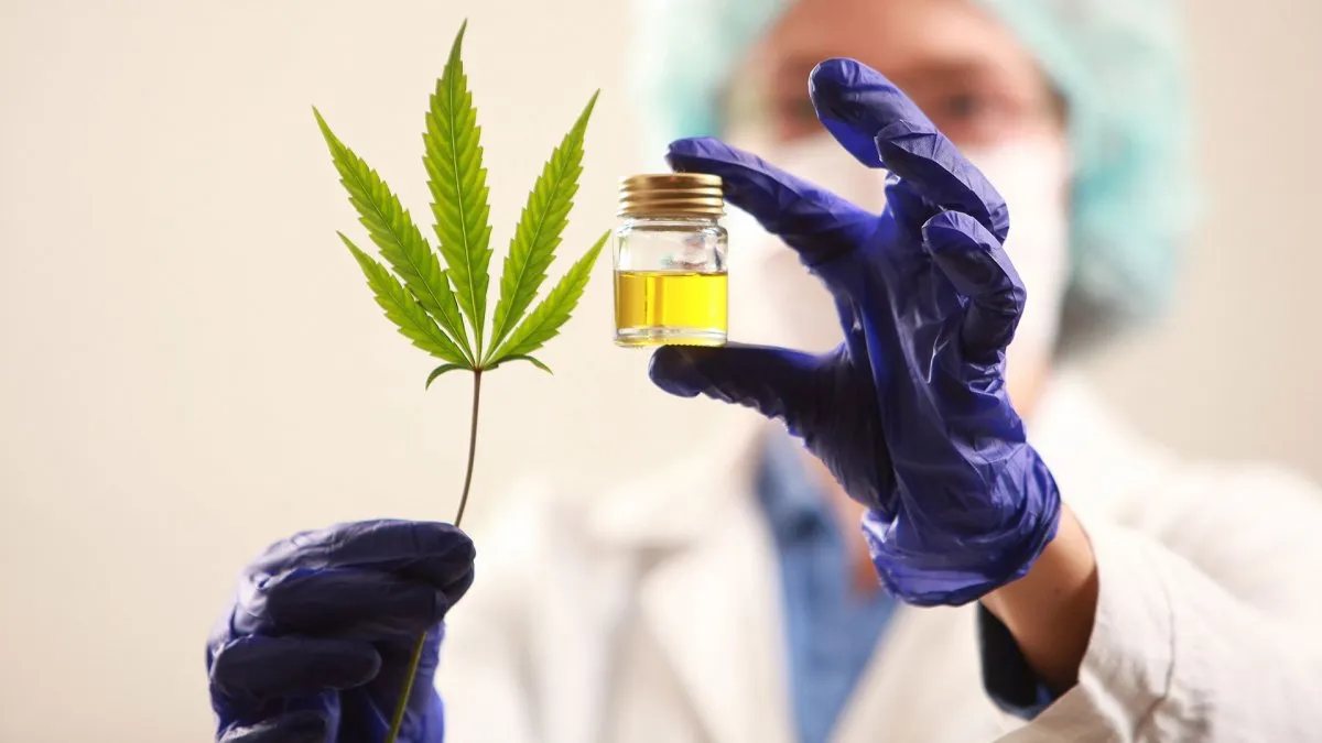 la-anmat-permitira-la-importacion-productos-derivados-del-cannabis-uso-medicinal