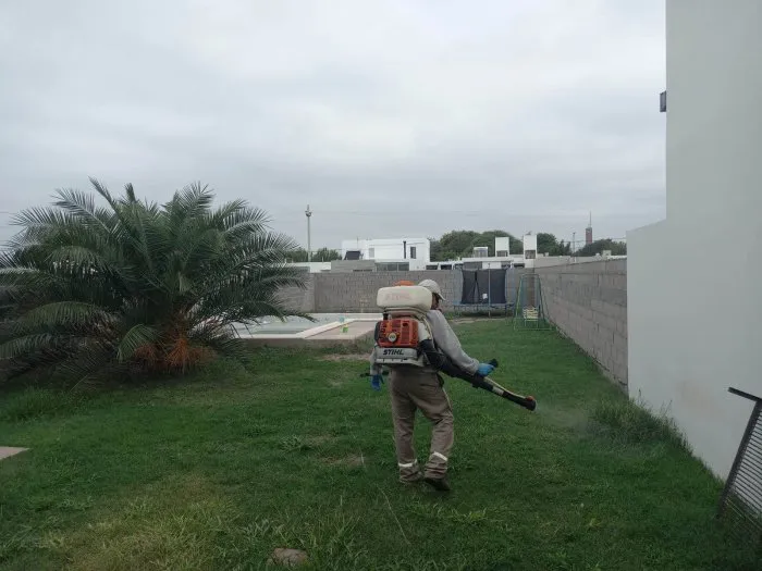 26309-dengue-fumigacion4