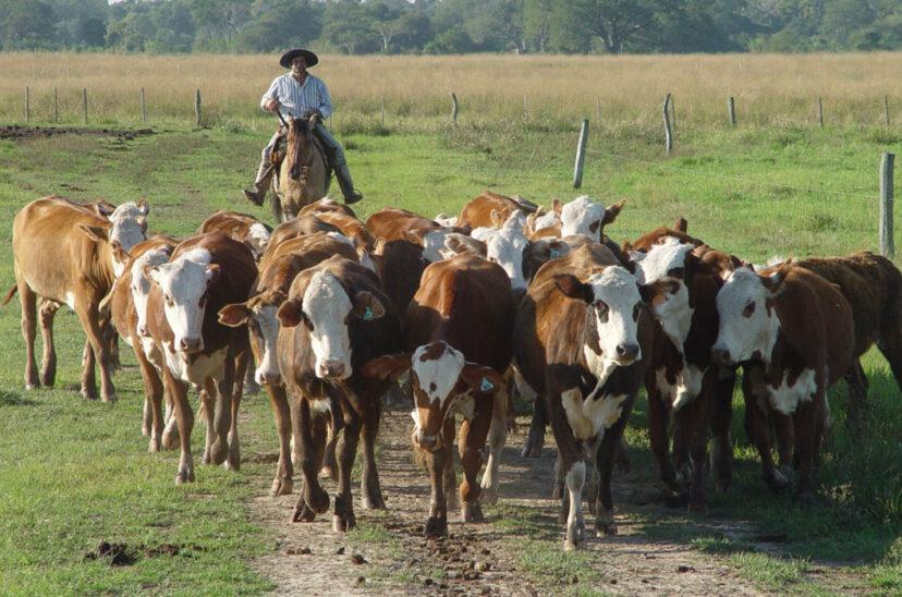 aumento-salarial-peon-rural-828x548