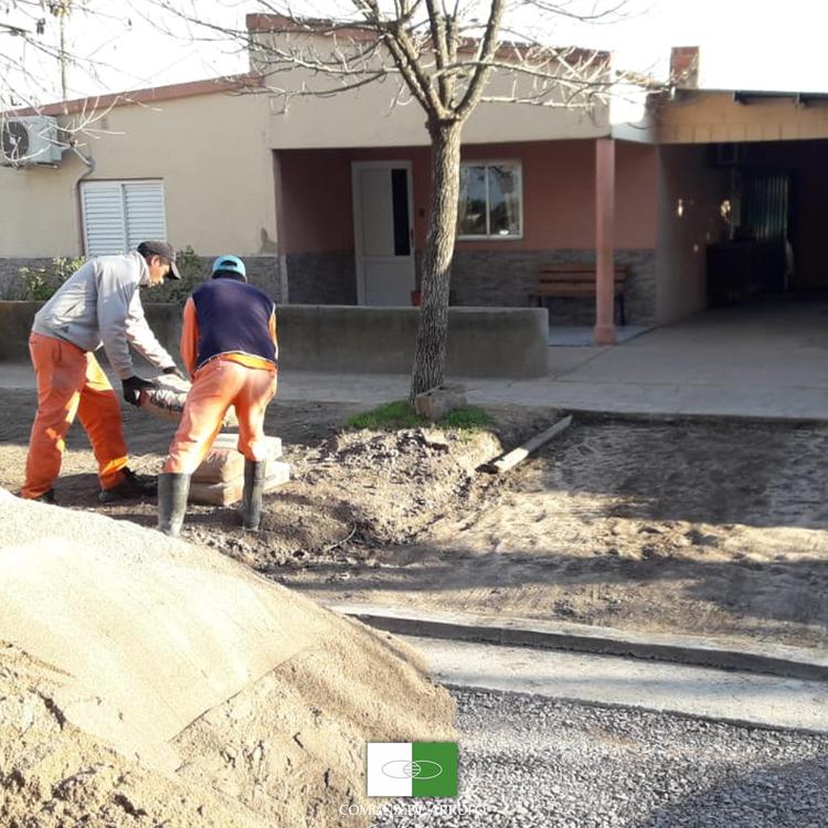 trabajo-ingresos
