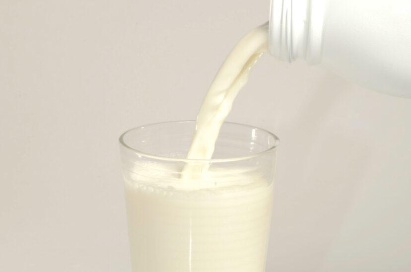 leche-lecheria-828x548