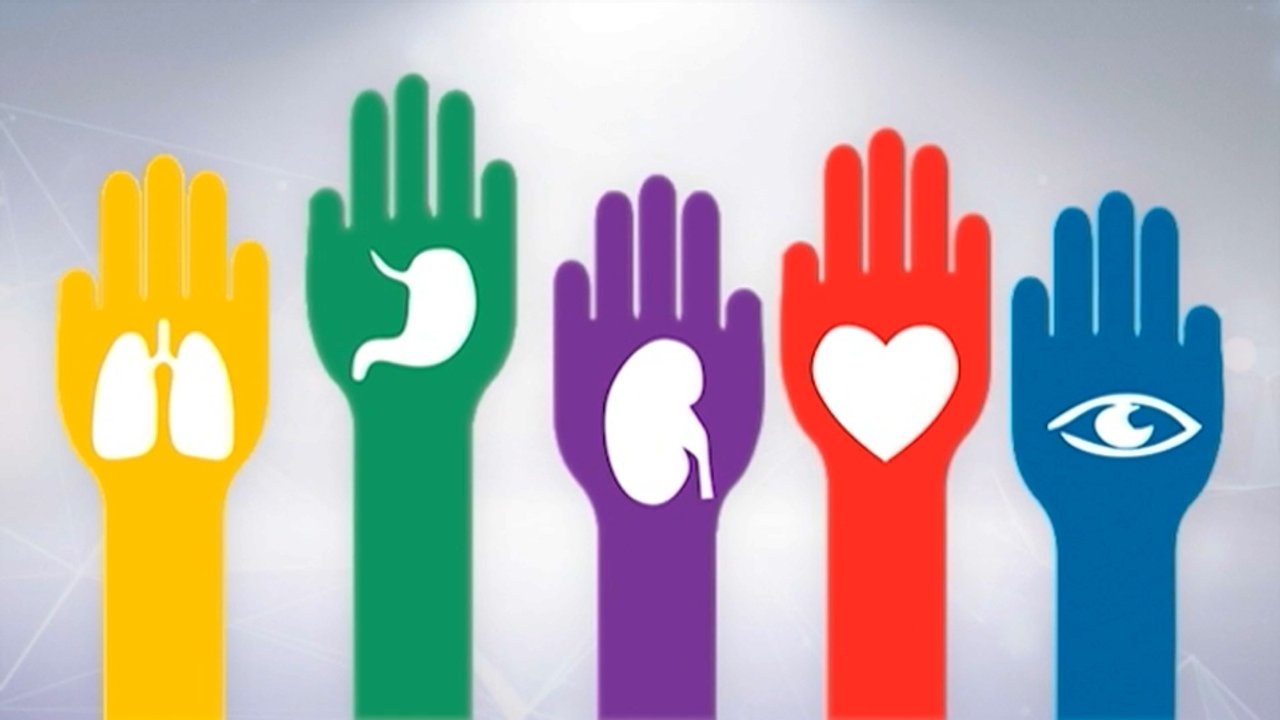 transplante de organos