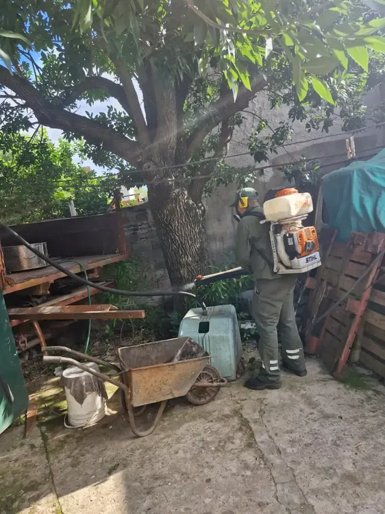 WhatsApp-Image-2025-02-21-at-11.17.26-AM