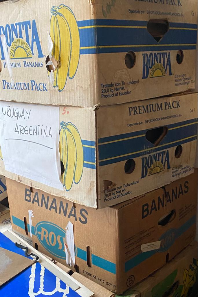Bananastextosineditoscortazar