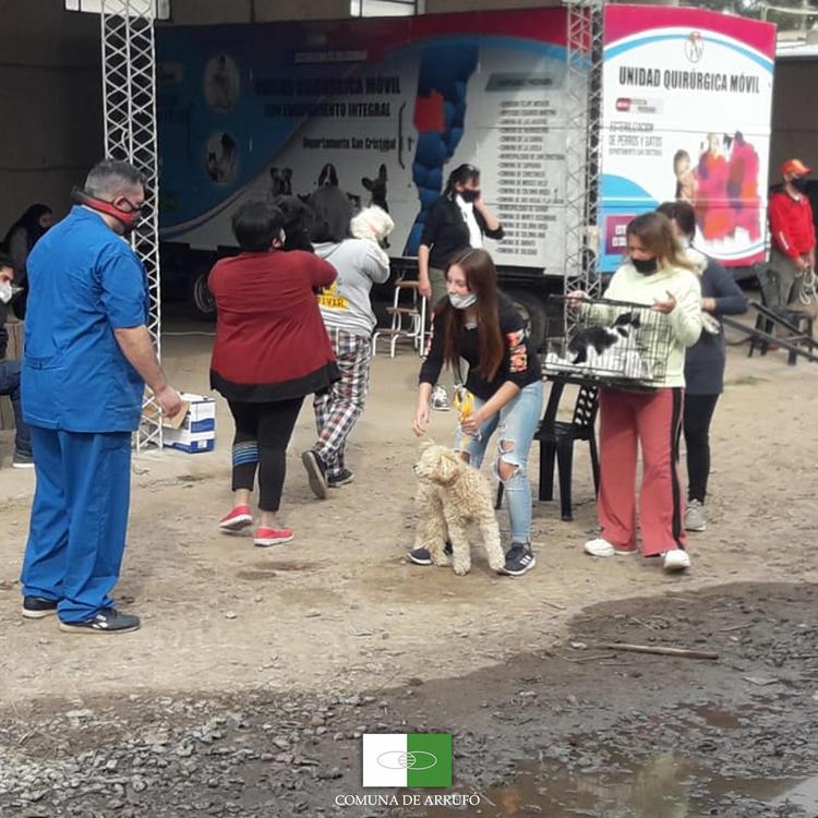 vacunacion-animales-arrufo