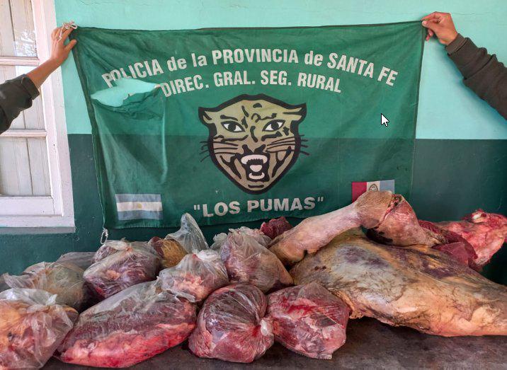 22840-guardialospumas-carne