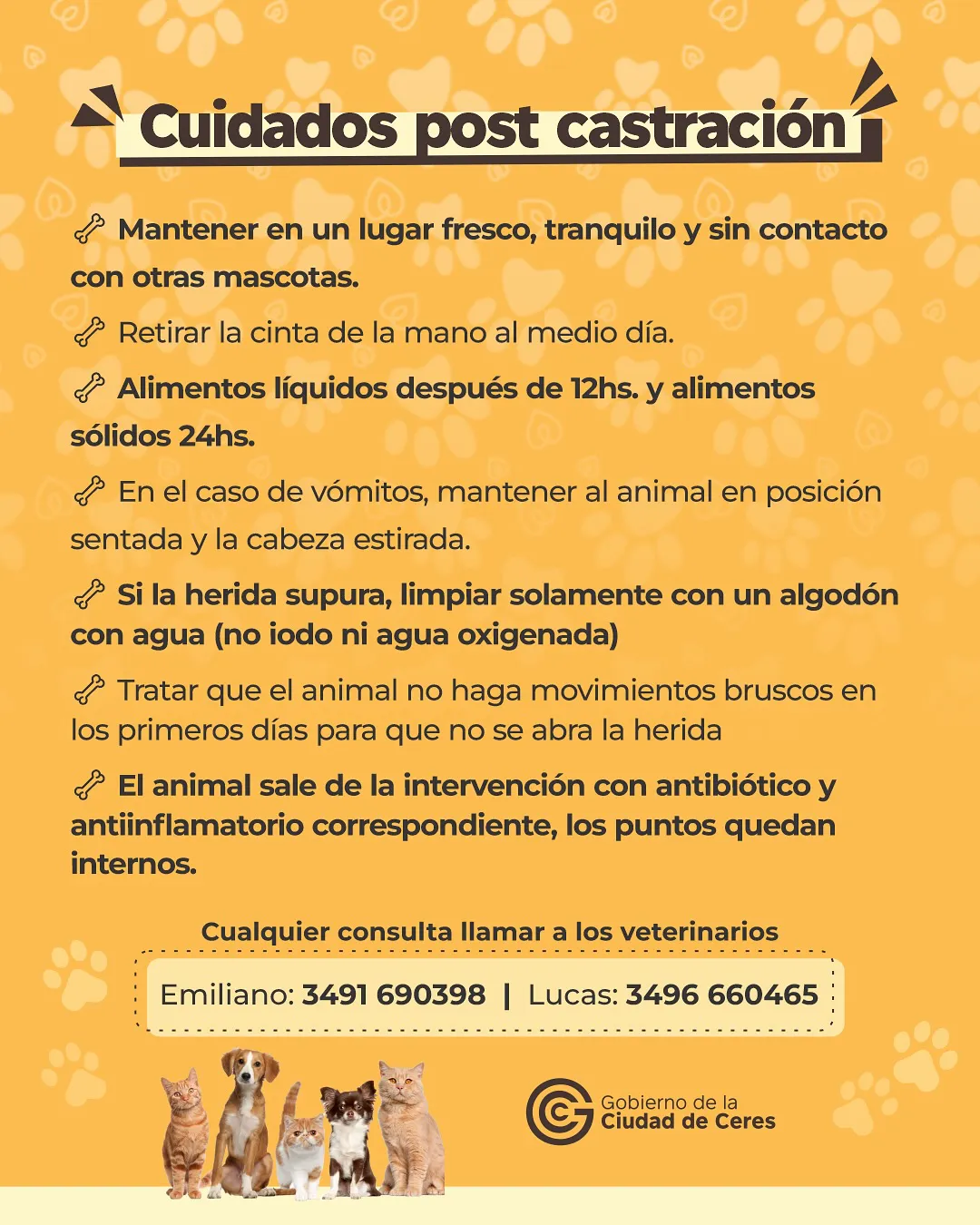 491440650_18454409917079661_2085244028019594668_n