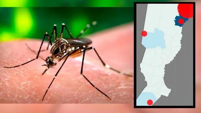 dengue