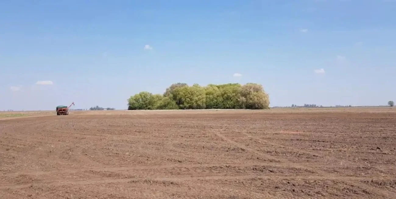 KPtTLYlgO_1300x655__1