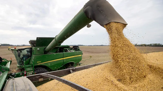 2019-09-19-eco-73439498jpg