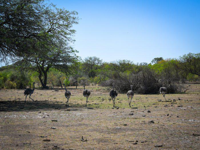 multimedia.normal.b4055a73a1f73c35.MjI1NjYtw7FhbmR1X25vcm1hbC5qcGVn