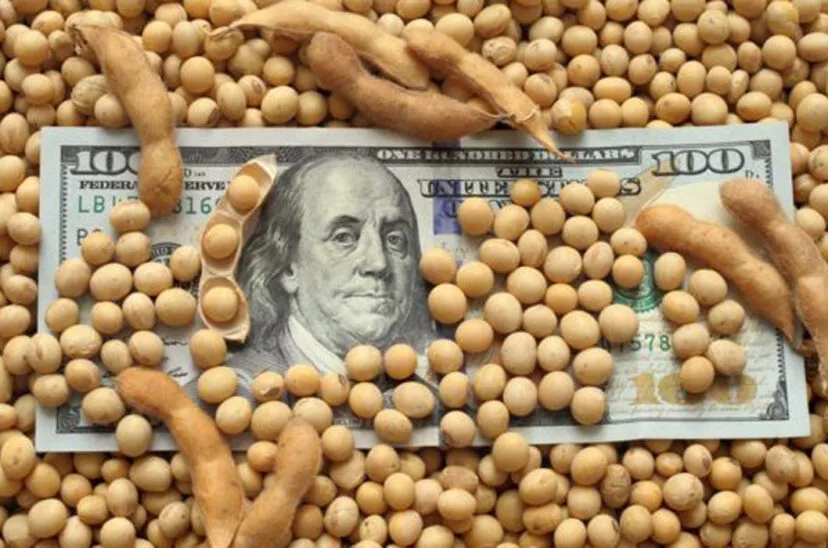 Dolar-Soja-828x548