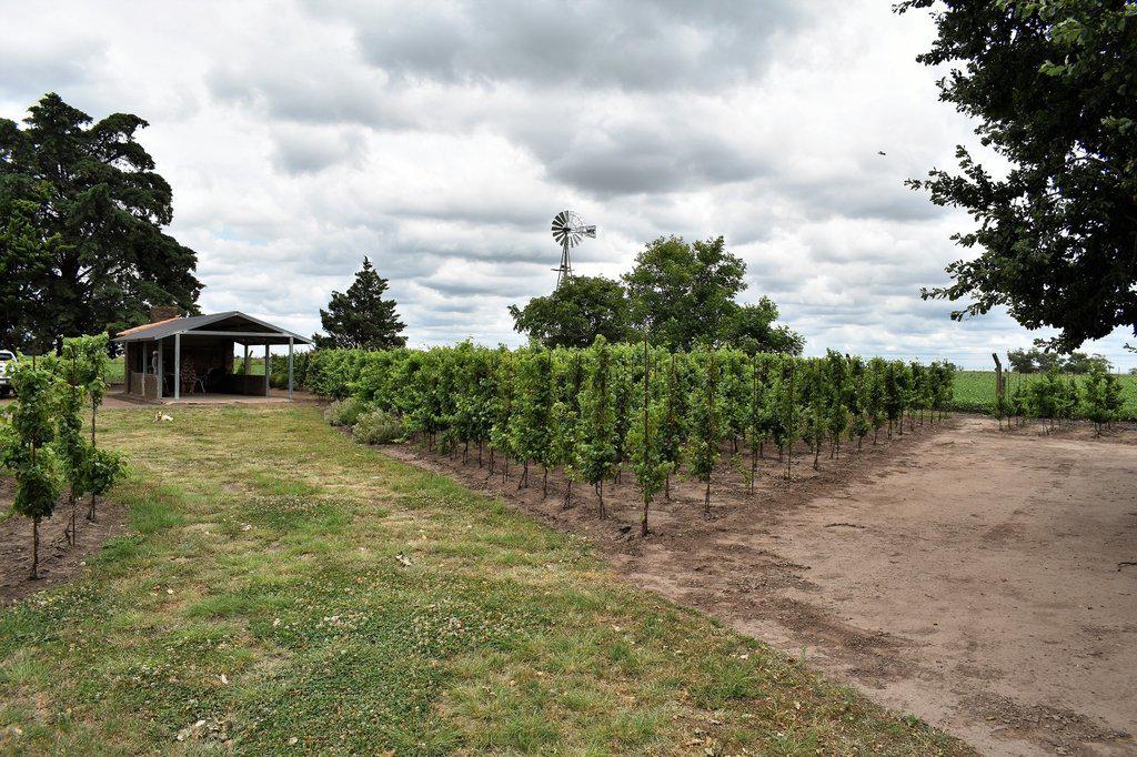 VINO-PROVINC