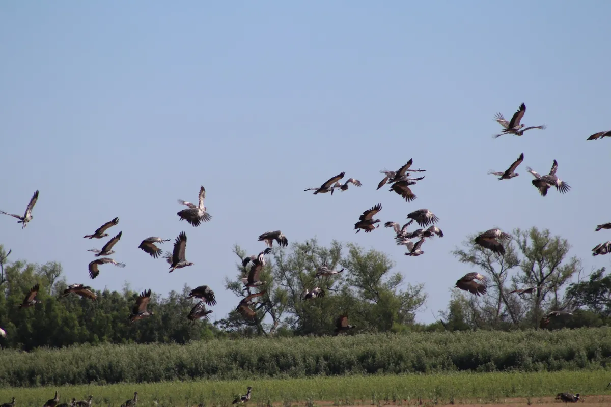 parque-nacional-islas-santa-fe-puerto-gaboto