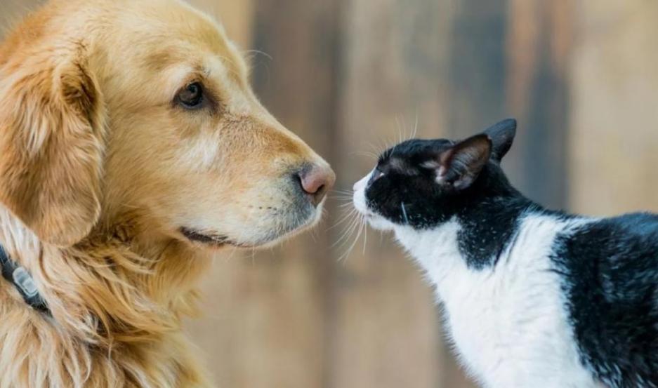 937x553_632496_20230622132548