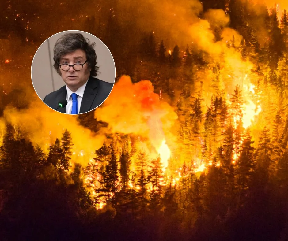 milei-incendios-chubut