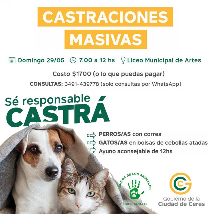 castracioness